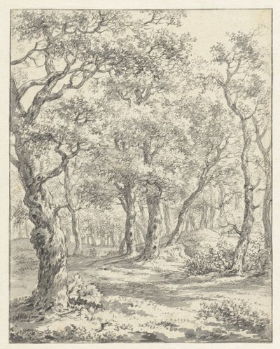 Waldlandschaft von Couwenhoven