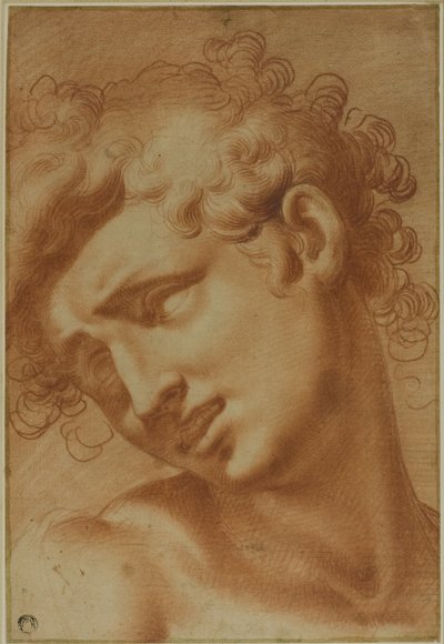 Kopf eines Jugendlichen von Cristoforo Roncalli
