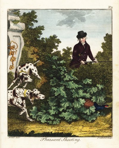 Fasanenjagd von Daniel (after) Dodd