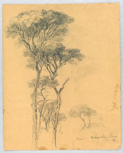 Studie von Kiefern, Villa Borghese, Rom von Daniel Huntington