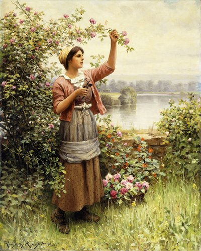 Rosen schneiden entlang der Seine von Daniel Ridgway Knight