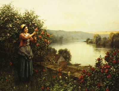 Sommerblüten von Daniel Ridgway Knight