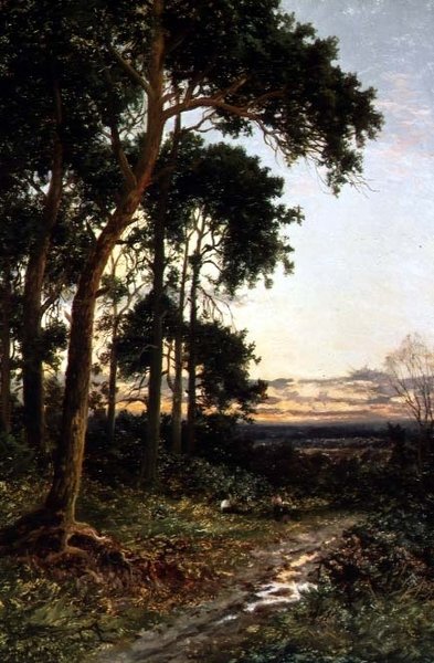 Der Waldweg von Daniel Sherrin