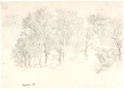Studie von Bäumen von Dankvart Dreyer