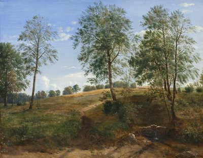 Die Caroline-Quelle bei Næsby auf Fünen von Dankvart Dreyer