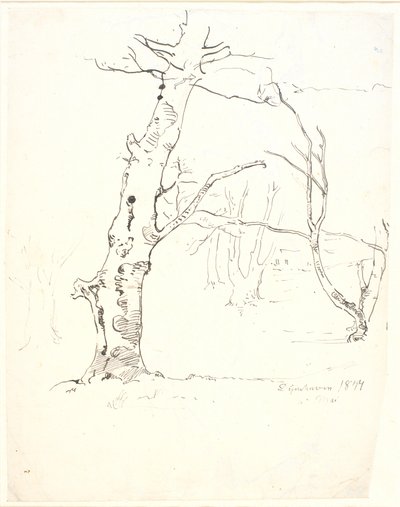 Baumstämme von Dankvart Dreyer