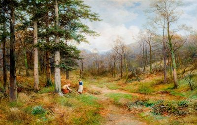 Auf dem Long Mynd, Church Stretton, 1907 von David Bates