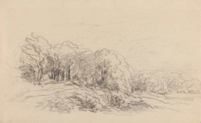 Landschaft mit Bäumen von David Cox