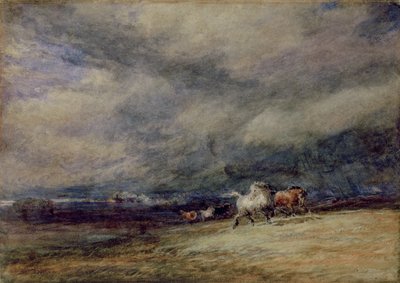 Der Nachtzug von David Cox