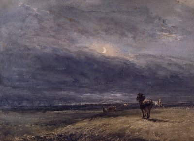 Der Nachtzug von David Cox