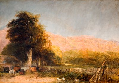 Ein Bauernhof in Bettws-y-Coed, 1856 von David Cox the elder