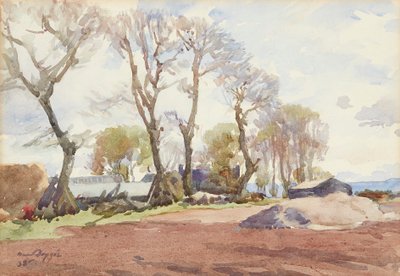 Winterbäume von David Foggie