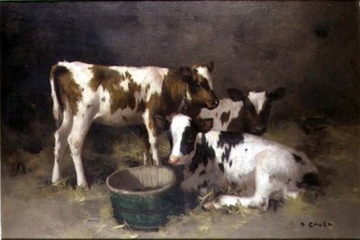 Drei Kälber von David Gauld