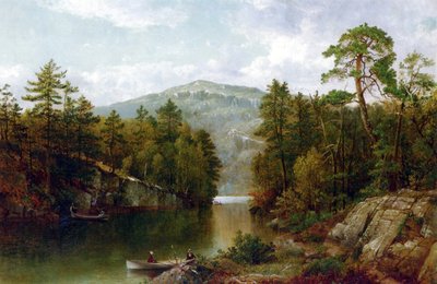 Der Lake George, 1876 von David Johnson
