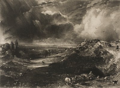 Eine Heide von David Lucas