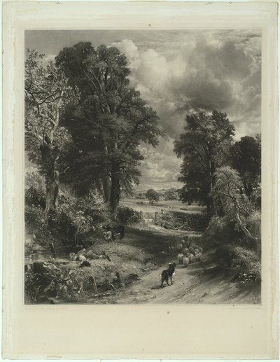 Das Kornfeld von David Lucas