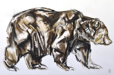 Braunbär läuft von David Mayer