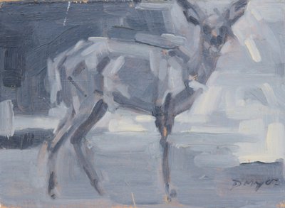 Buschbock-Hirschkuh, 2016 von David Mayer