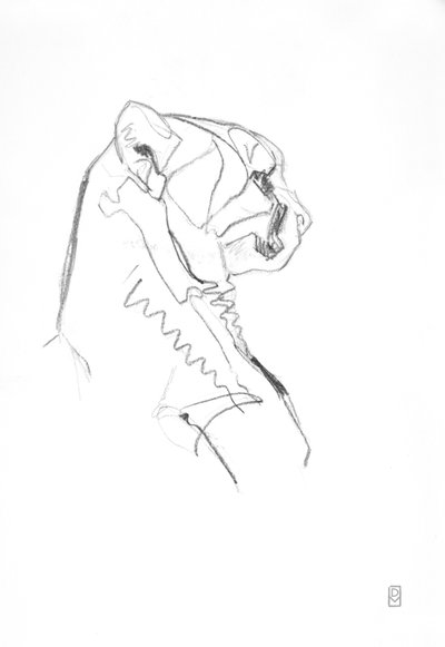 Gepard von David Mayer