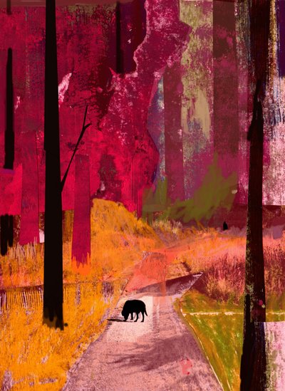 Schwarzer Hund, 2013, Collage auf Papier von David McConochie