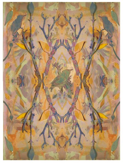 Stare, 2016, Collage auf Papier von David McConochie