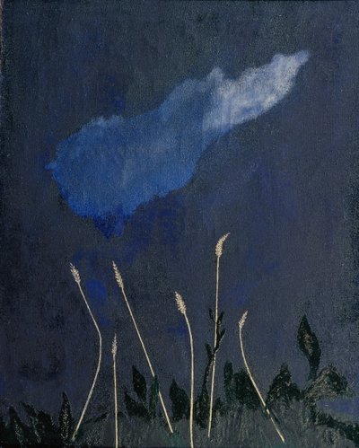 Die Ohren von David Petrovich Sterenberg