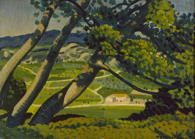Bäume, Provence, 1912 von Derwent Lees