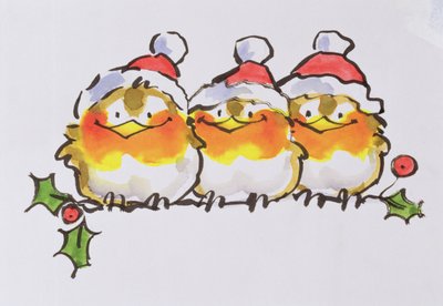 Weihnachtsrotkehlchen von Diane Matthes