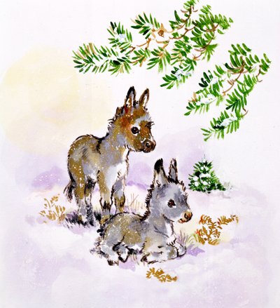 Esel von Diane Matthes