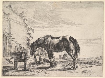 Pferd an eine Futterkrippe gebunden von Dirck Stoop