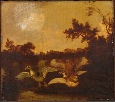 Ein Bussard greift zwei Enten an von Dirck Wijntrack