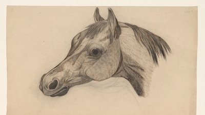 Kopf eines Pferdes, nach links von Dirk Arnoldus Tavenraat