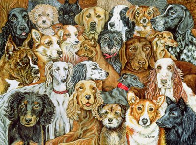 Hundeverbreitung, 1989 von Ditz