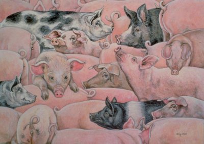 Schweine-Aufstrich von Ditz