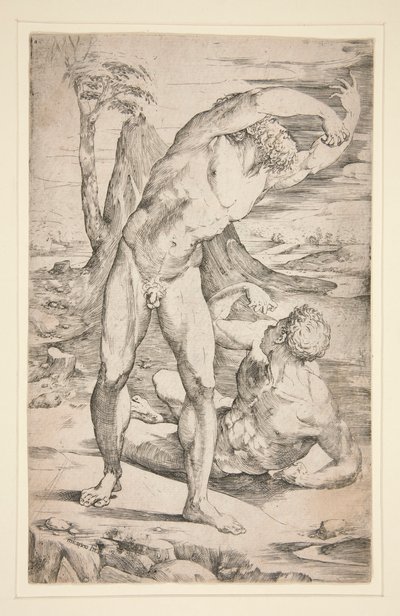 Zwei nackte Männer in einer Landschaft von Domenico Beccafumi