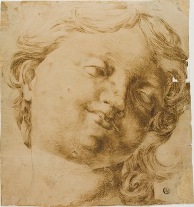 Kopf eines Kindes von Domenico Peruzzini