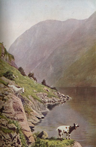 Norwegen, ca. 1930er Jahre von Donald McLeish