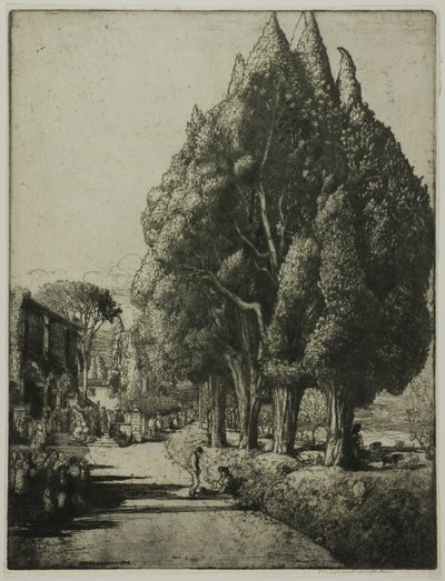 Der Zypressenhain von Donald Shaw MacLaughlan