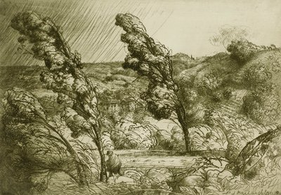 Der Sturm von Donald Shaw MacLaughlan