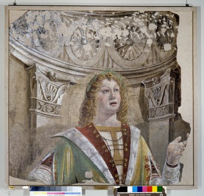 Der Sänger von Donato Bramante