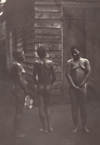Trois Femmes Malgaches (Platte 30) von Désiré Charnay