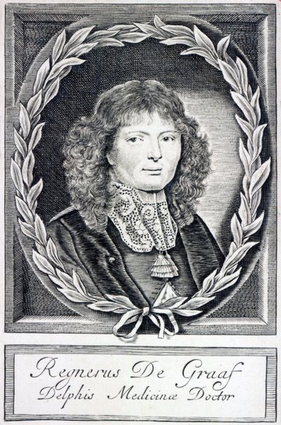 Regnier de Graaf, um 1670 von Dutch School