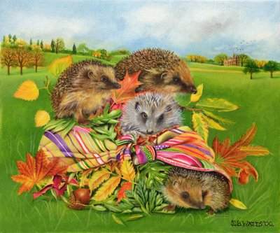 Igel im Schal, 2000 von E.B. Watts