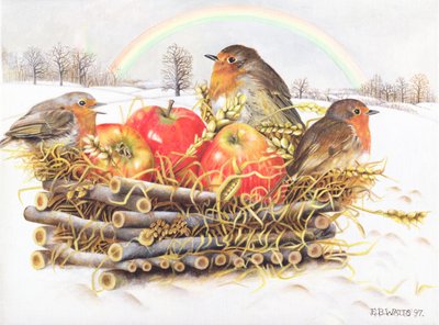 Rotkehlchen mit Äpfeln, 1997 von E.B. Watts