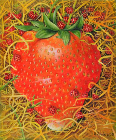 Erdbeere im Stroh, 1998 von E.B. Watts