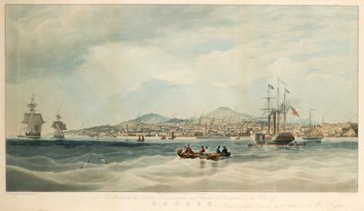 Blick auf Dundee vom Fluss von E. Duncan
