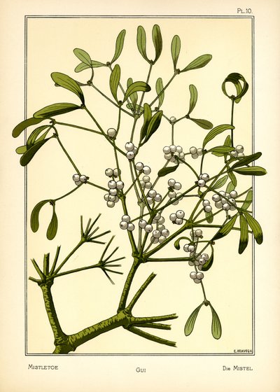 Die Mistel von E. Hervegh