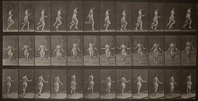Tierbewegung, Platte 174 von Eadweard Muybridge