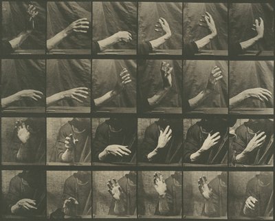 Tierbewegung, Platte 535 von Eadweard Muybridge