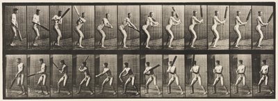 Tafel 293. Cricket; Schlagen; Rückwärtsschnitt, 1885 von Eadweard Muybridge